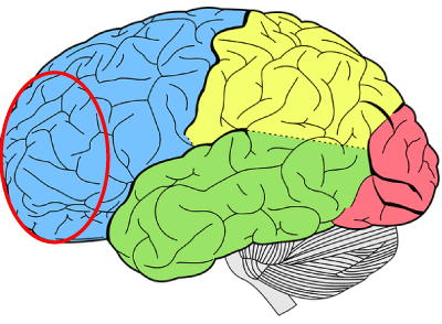 praxis_sonderfeld_Neurofeedback bei AD(H)S,_praefrontales_training